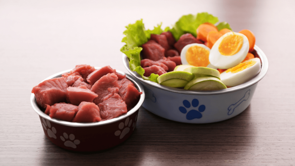 Wholesome homemade raw diet featuring two bowls filled with a nutritious blend of fresh eggs and high-quality meats, providing a natural and balanced meal for your pet's optimal well-being.
