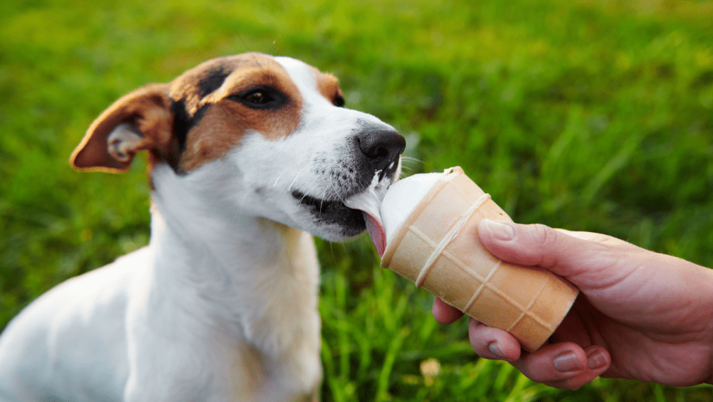 A happy dog savoring a delicious ice cream treat with evident delight.