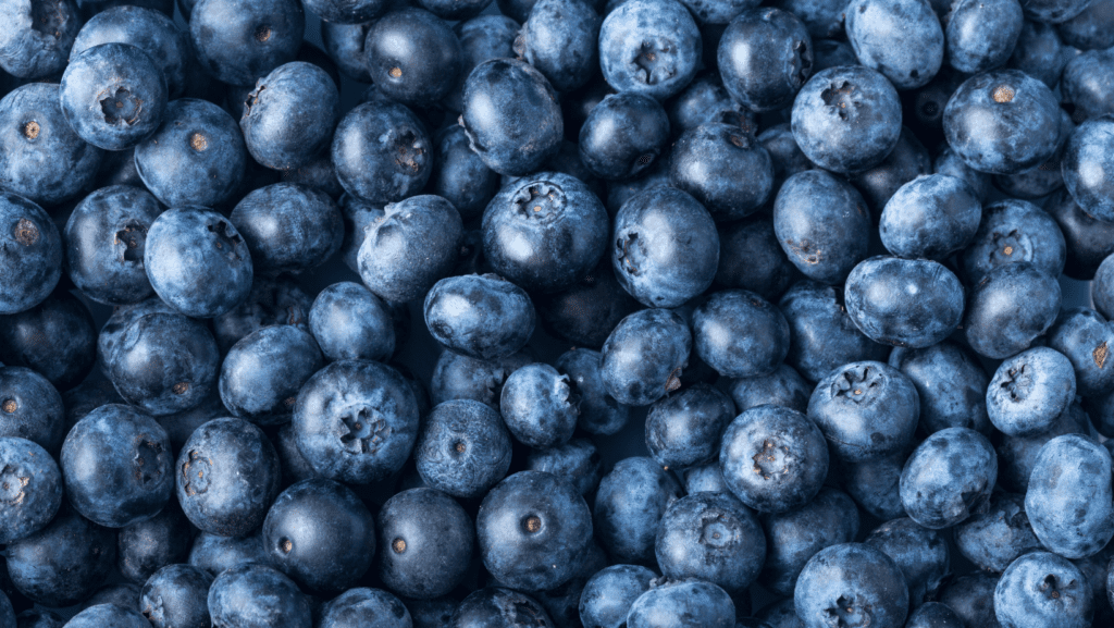 Blueberries; they are so good for a dogs health.