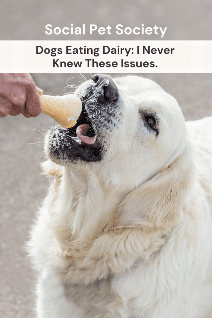 Can dogs eat yoghurt, ice cream and milk?
