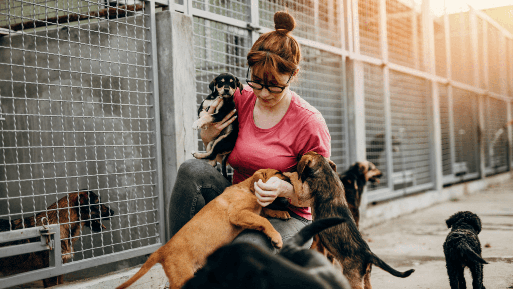 An image of a Woman encouraging young pups to jump without realising it