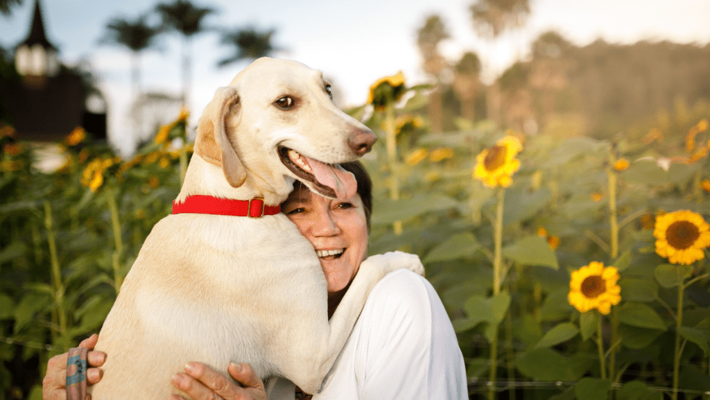 Happy Dog Hugging Owner on Hind Legs