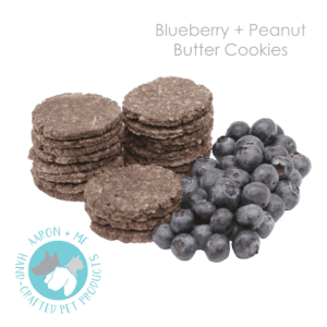 Yummy pet friendly treats with blueberries as the main ingredient and blueberries next to the treats.