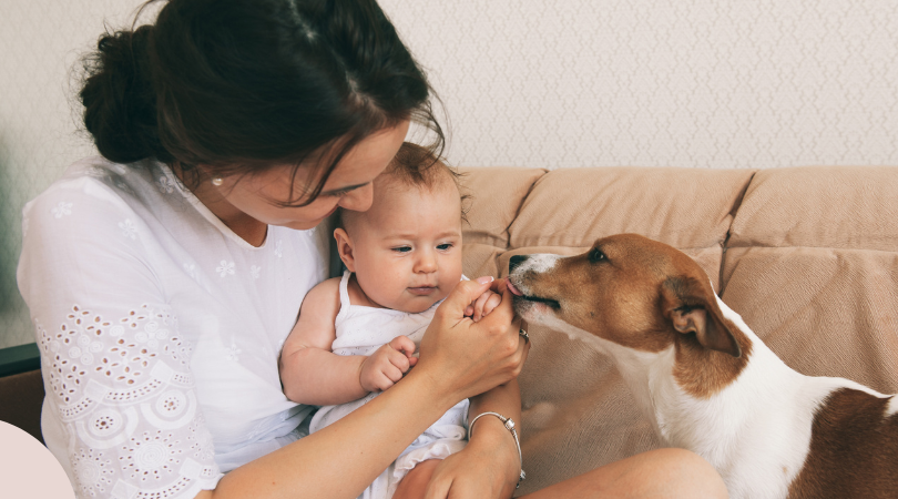 A happy lady introducing a baby to a dog.