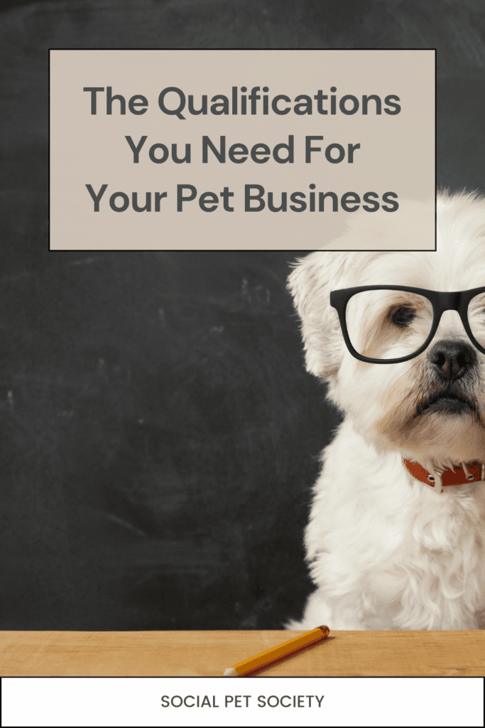 A happy dog ready to to learn about qualifications.