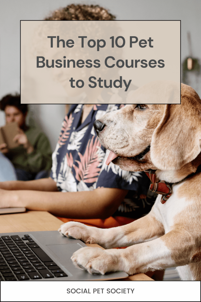 An image of a dog and a women studying online