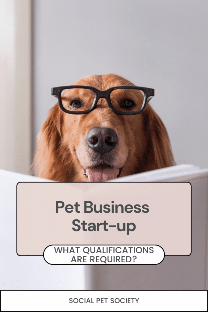 A dog studying from a book, emphasising the importance of pet business qualifications