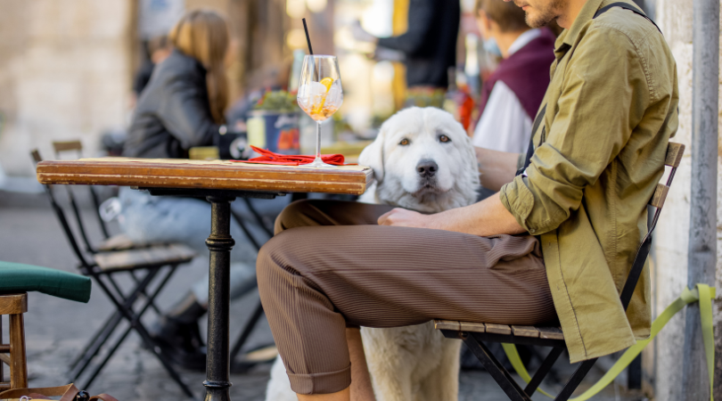 A man stands on the balcony of a pet-friendly business, holding the leash of a happy dog beside him. Both man and dog wear expressions of contentment as they enjoy the outdoor space together, overlooking a bustling street below.