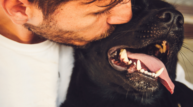 A man kissing his happy dog.