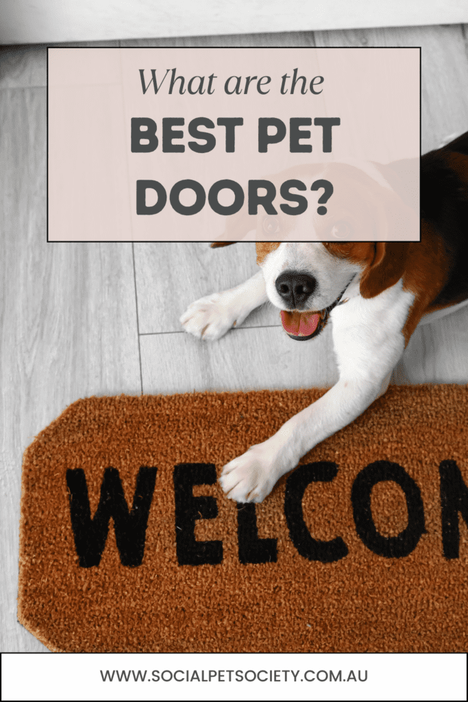 Dog standing on welcome mat next to a pet door, showcasing the best options for 2024.