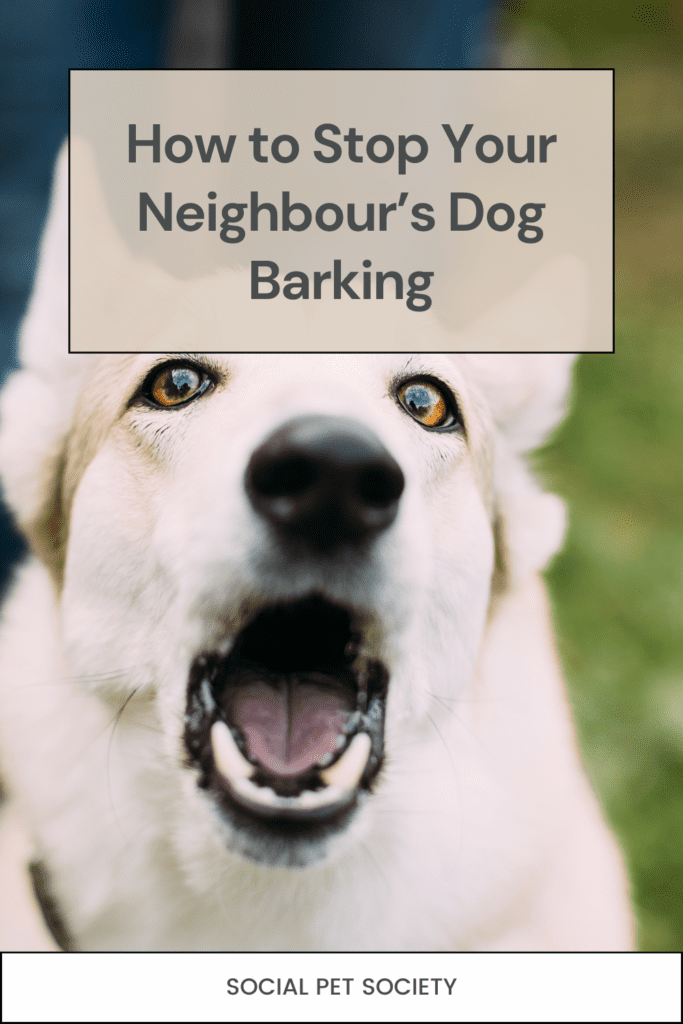 Dog barking in backyard.
