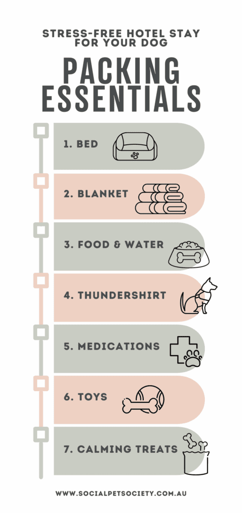 Infographic on keeping your dog comfortable in a hotel: includes tips on packing essentials, creating a familiar space, calming techniques, and managing pet behaviour.