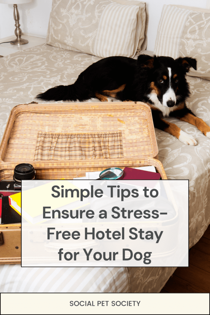 Dog relaxing on a hotel bed next to an open suitcase, preparing for a stay.