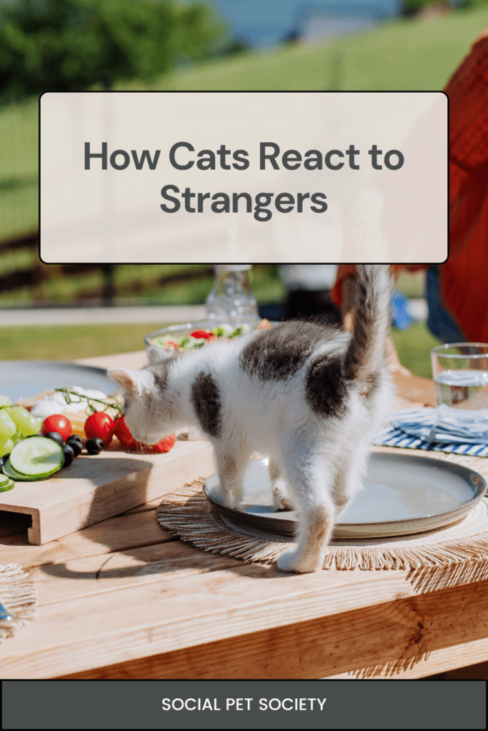 A curious cat on a table, enjoying food at a lively party.