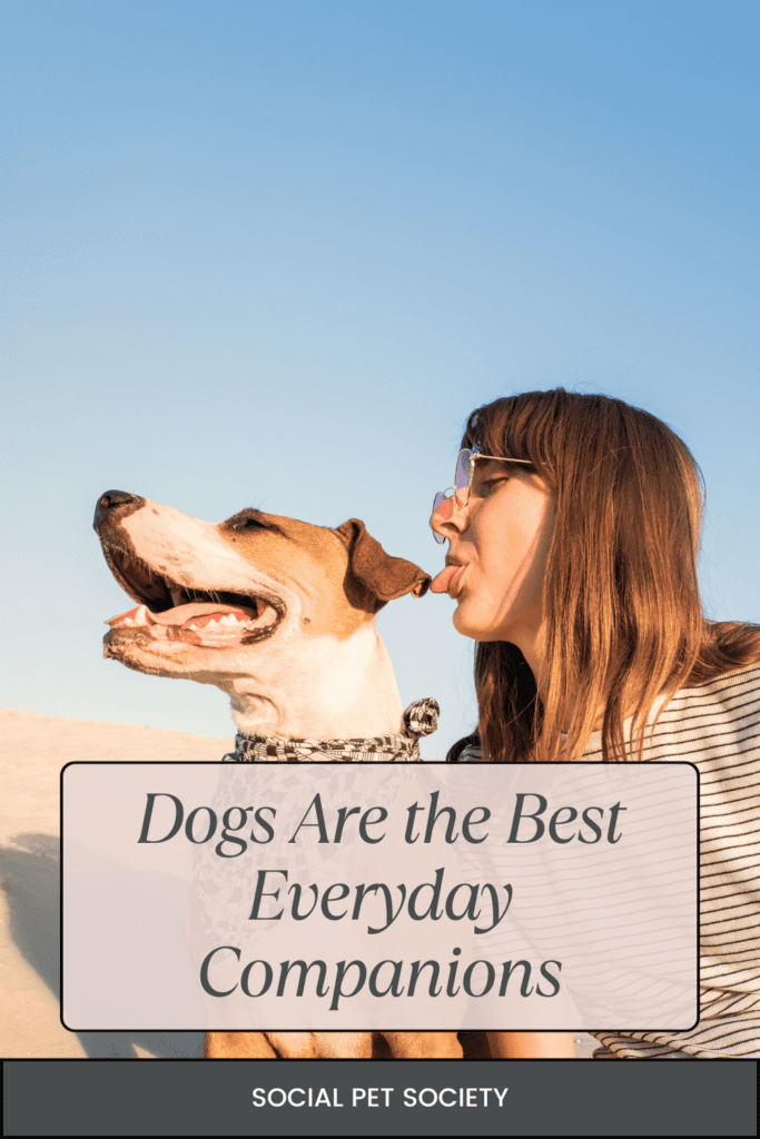 A peaceful moment of a companionship.