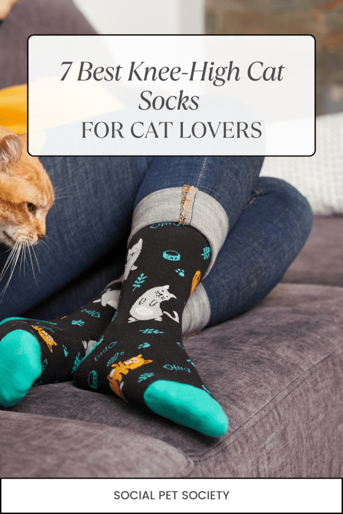 Woman wearing knee-high cat socks, sitting comfortably on a couch, showcasing a cosy and playful cat-themed style.