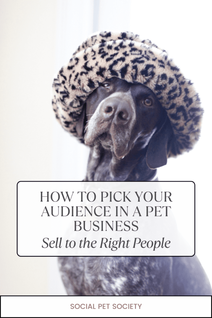 An elegant, well-groomed dog looking stylish and sophisticated.