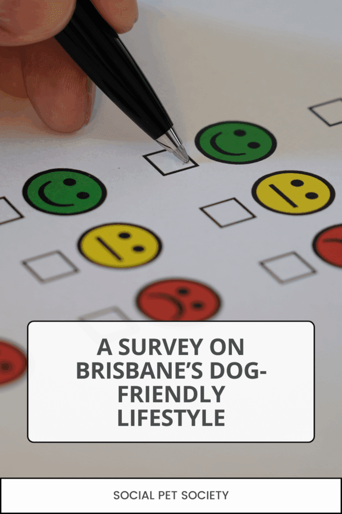 A survey chart showing how Brisbane dog owners socialise their pets, including off-leash parks, dog-friendly cafes, and outdoor activities.
