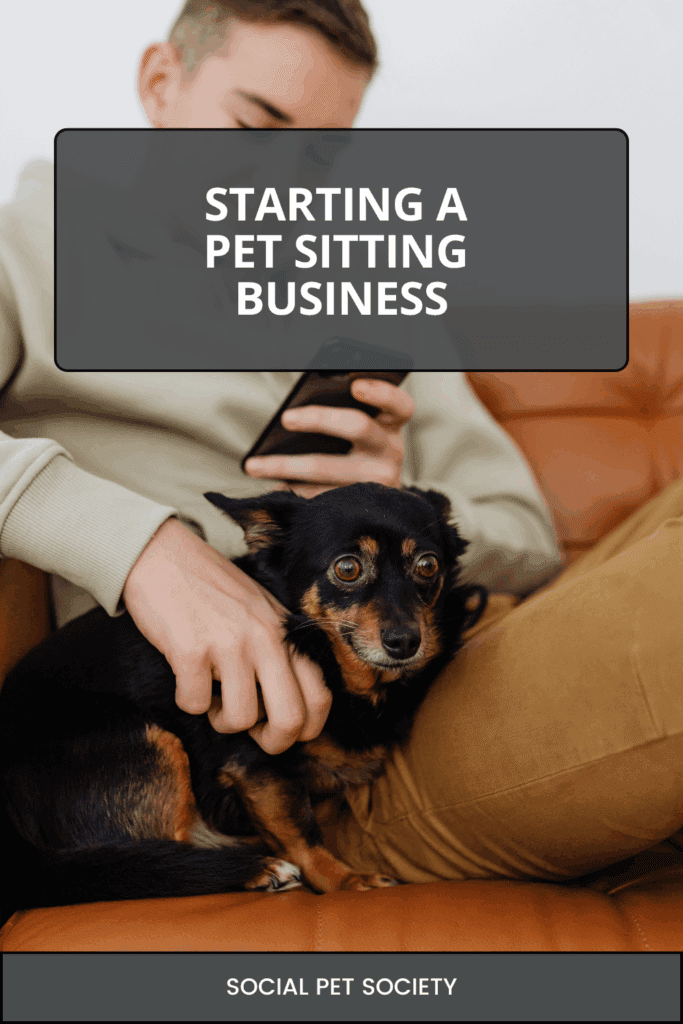 Man patting a dog while using his mobile phone – Ultimate Guide to Starting a Pet Sitting Business